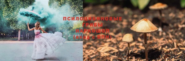 стаф Абинск