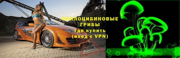 метадон Алексин
