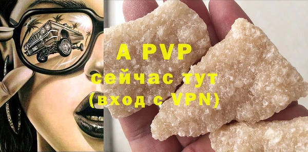 стаф Абинск