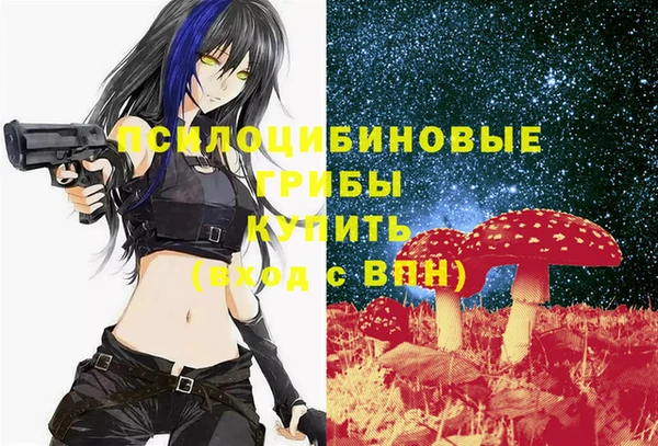 стаф Абинск