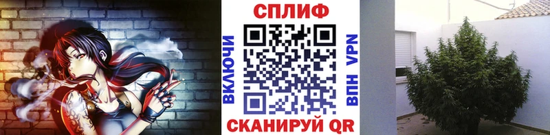 Бошки марихуана Amnesia  Ладушкин 